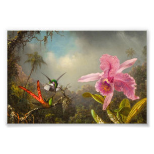 Orchid with Two Hummingbirds Heade Photo Print