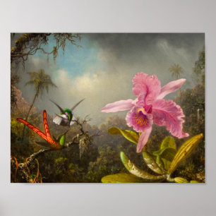 Orchid with Two Hummingbirds Heade Poster