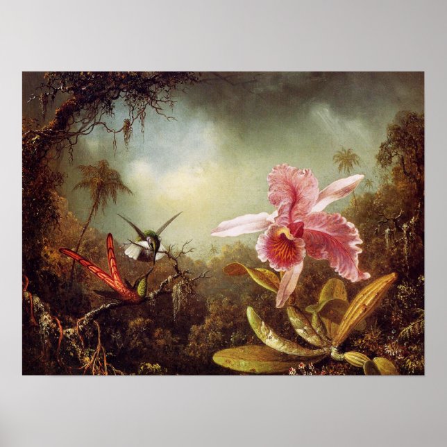 Orchid with Two Hummingbirds Poster (Front)