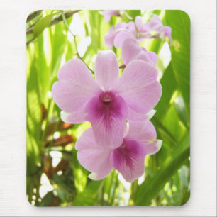 Orchid - World Of Our Own Mouse Pad