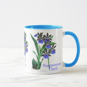 Orchid Zygopetalum Clayll Mug