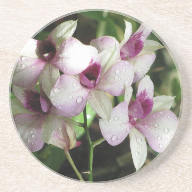 Orchideas coaster (Front)