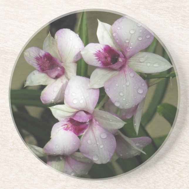 Orchideas coaster (Front)