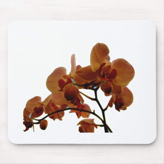 Orchidee Mouse Pad (Front)