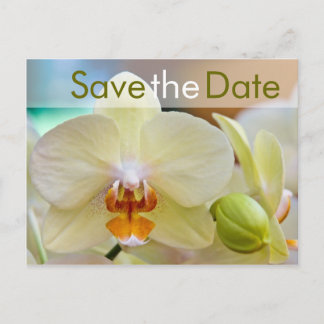 Orchidee • Save the Date Postkarte Announcement Postcard