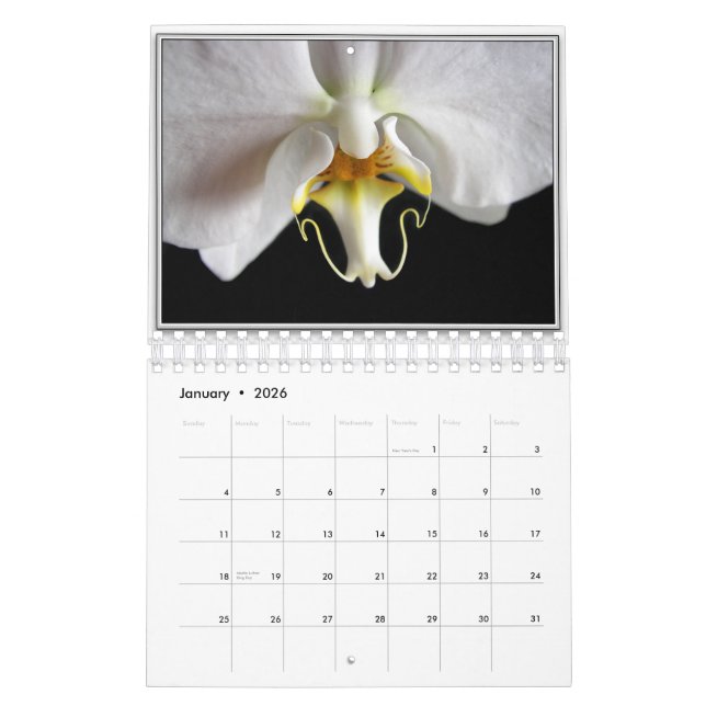ORCHIDS 2011 CALENDAR (Jan 2026)