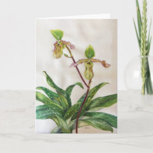 Orchids (5" x 7") white envelopes include card