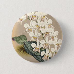 Orchids 6 Cm Round Badge