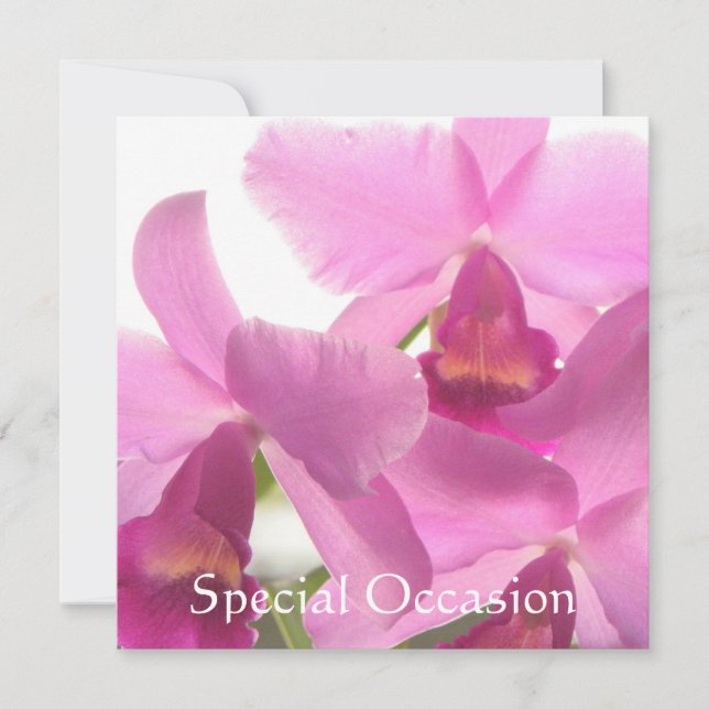 Orchids All-Occasion Invites/ Invitation (Front)