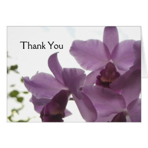 Orchids All-Purpose Greeting/Invitation Card