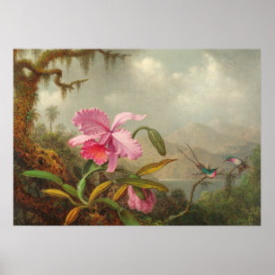Orchids and hummingbird by Martin Johnson Heade P Poster