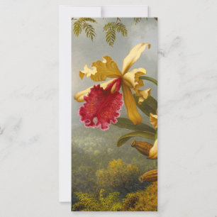 Orchids and Hummingbird Heade Card