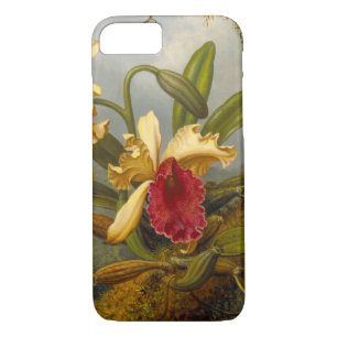 Orchids and Hummingbird Heade iPhone 8/7 Case