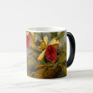 Orchids and Hummingbird Heade Magic Mug