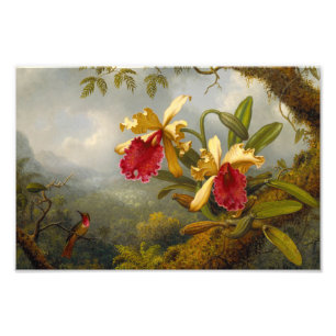 Orchids and Hummingbird Heade Photo Print