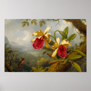 Orchids and Hummingbird Heade Poster