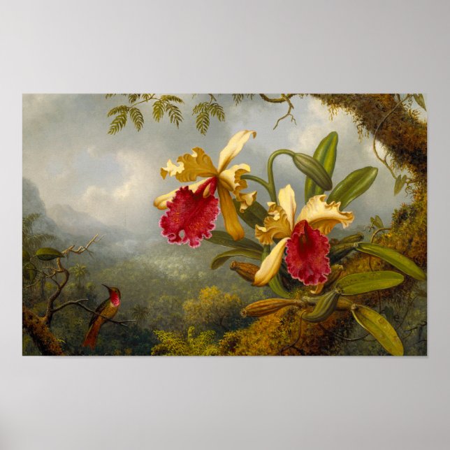 Orchids and Hummingbird Heade Poster (Front)