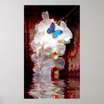 Orchids and the Butterfly Print