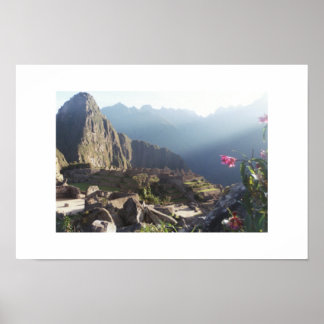 Orchids at Machu Picchu Poster
