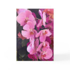 Orchids Blank Note Card