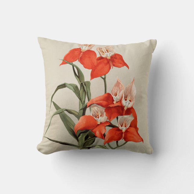 Orchids Blooming Flower Vintage Old Illustration Cushion (Front)