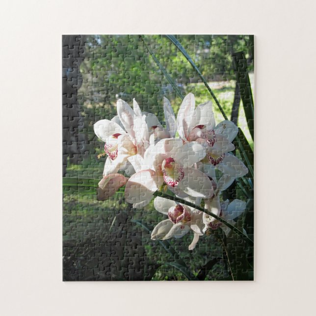 Orchids Blooming in the Spring Puzzle (Vertical)