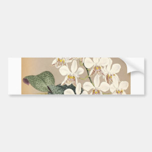 Orchids Bumper Sticker