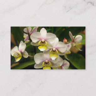Orchids Business cards