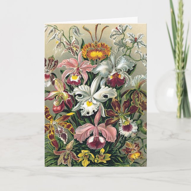 Orchids by Haeckel Thank You Card (Front)