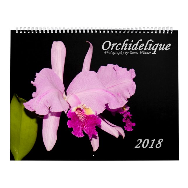 Orchids by Orchidelique Calendar (Cover)