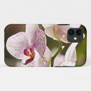 Orchids by Shirley Taylor iPhone 11 Case