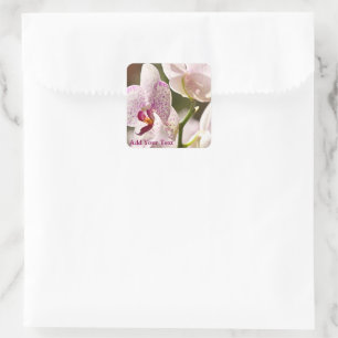 Orchids by Shirley Taylor Square Sticker