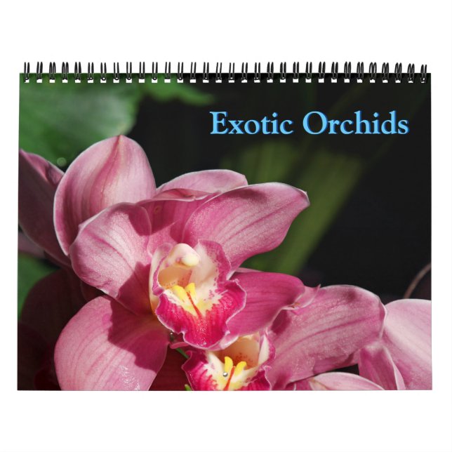 Orchids Calendar (Cover)