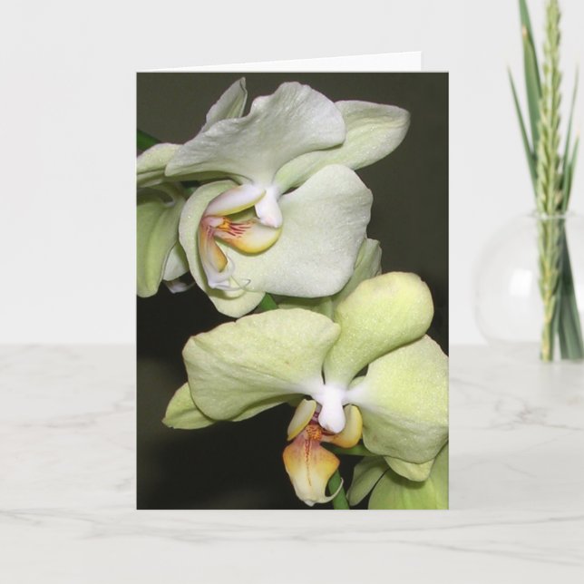 Orchids Card (Front)