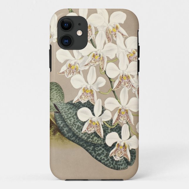 Orchids Case-Mate iPhone Case (Back)