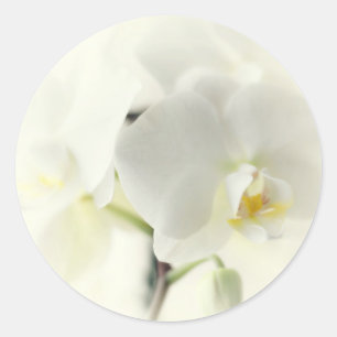 orchids classic round sticker
