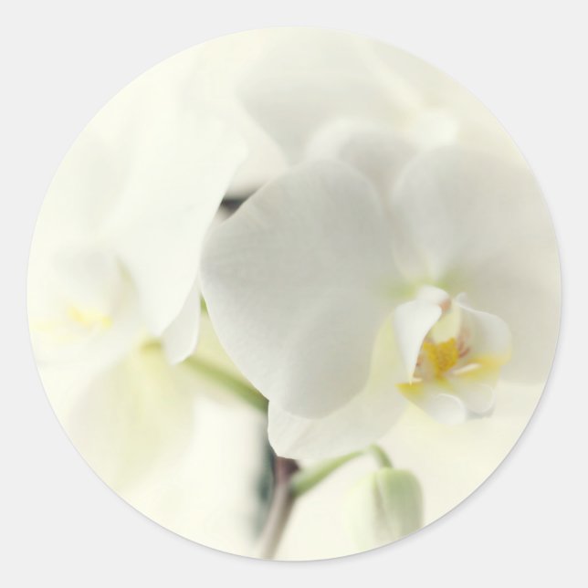 orchids classic round sticker (Front)