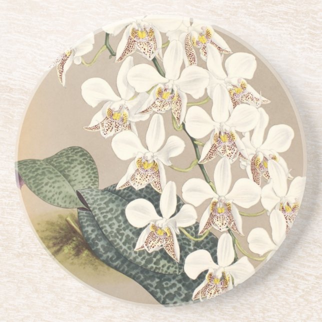 Orchids Coaster (Front)