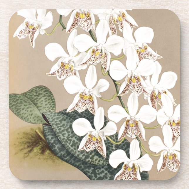 Orchids Coaster (Front)