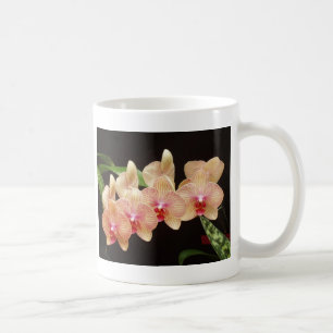 Orchids! Coffee Mug