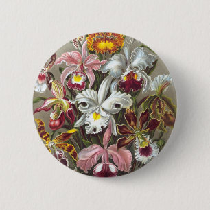Orchids Ernst Haeckel Fine Art 6 Cm Round Badge