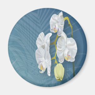 Orchids & Ferns Magnet
