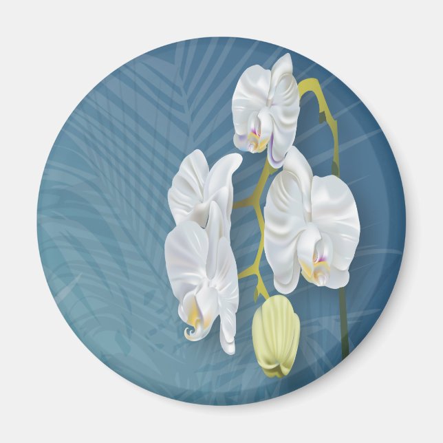 Orchids & Ferns Magnet (Front)