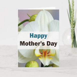 Orchids Grace Mothers Day Card