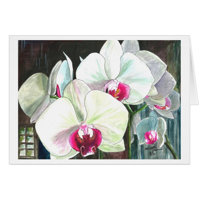 Orchids in full bloom (Front Horizontal)