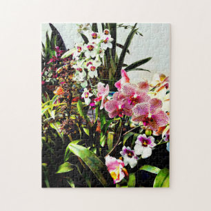 Orchids in the Garden Centre Jigsaw Puzzle