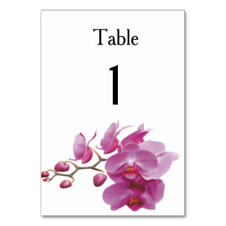 Orchids Inexpensive Wedding Packages Sets Kits Table Number