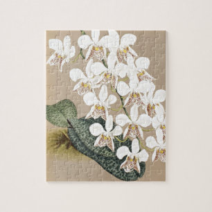Orchids Jigsaw Puzzle