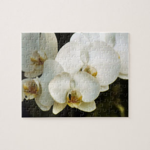 Orchids Jigsaw Puzzle