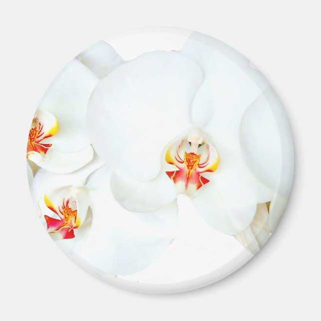 Orchids Love_ Magnet (Front)